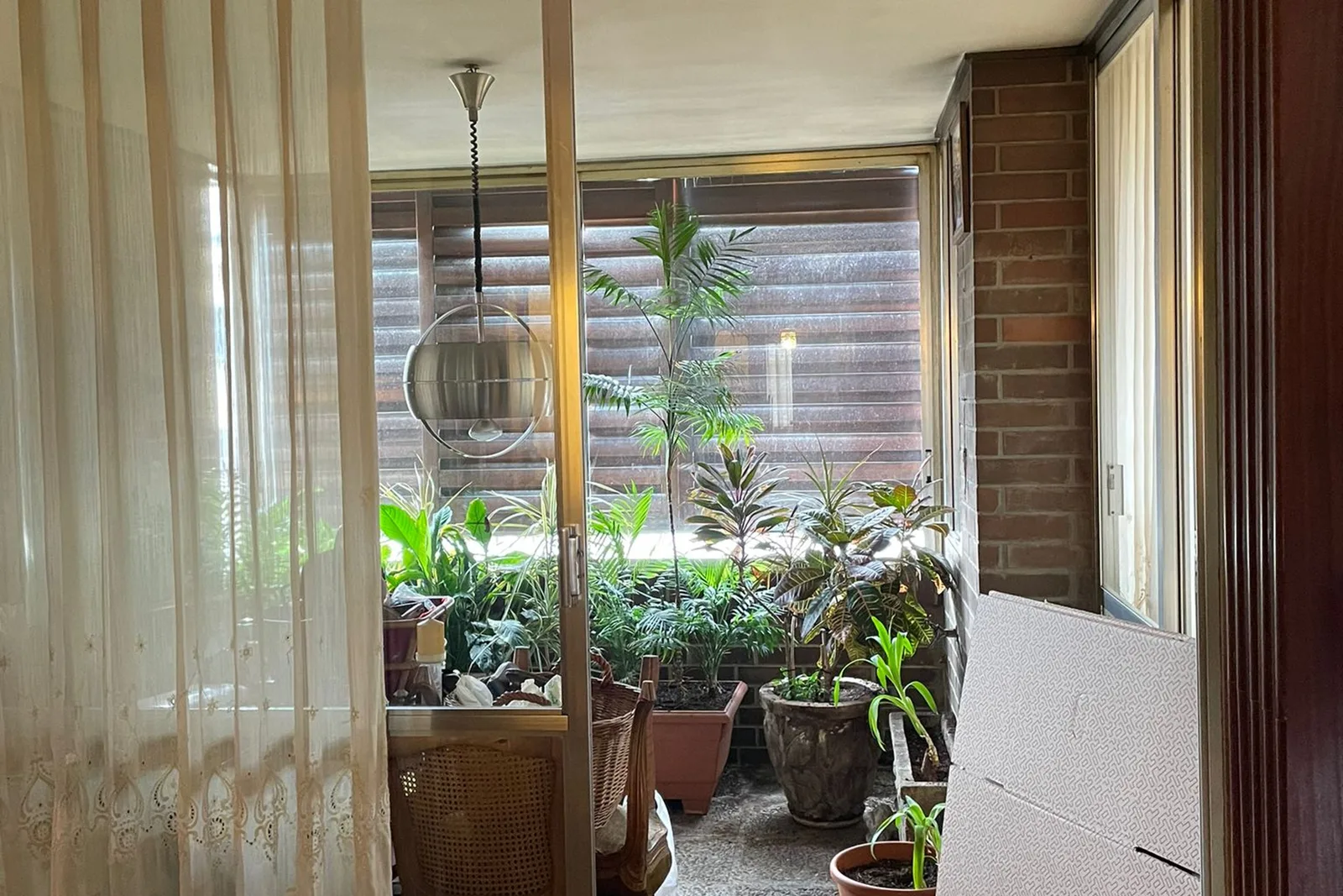 Comedor y terraza acristalada · Diego de León — antes